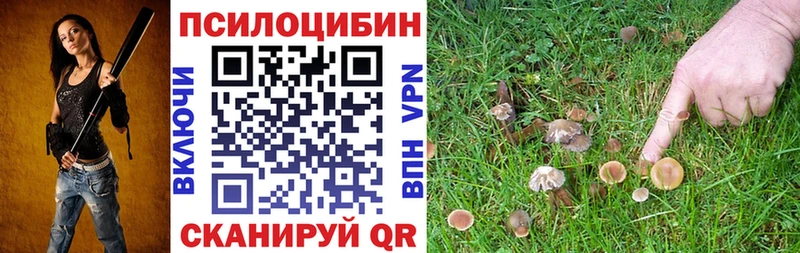 Галлюциногенные грибы Cubensis  Сертолово 